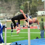 High Jump Runway in Park Gate 1