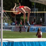 Athletic High Jump Landing Mat in Bridgend 4