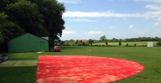 High Jump Fan Surfacing in Newton